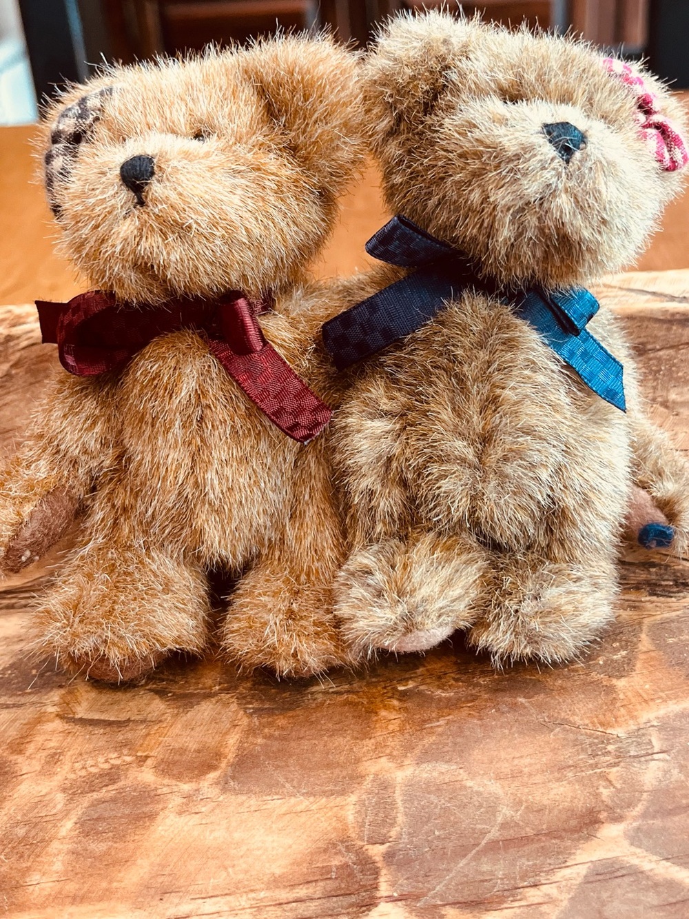 Boyd’sSmall  Brown Pair with Blue and Red Bows 1998-2004